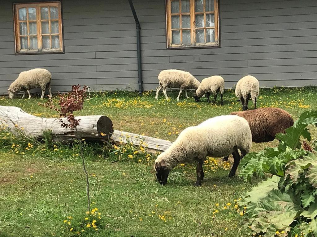 Parque La Pajarera Ξενοδοχείο Puerto Varas Εξωτερικό φωτογραφία