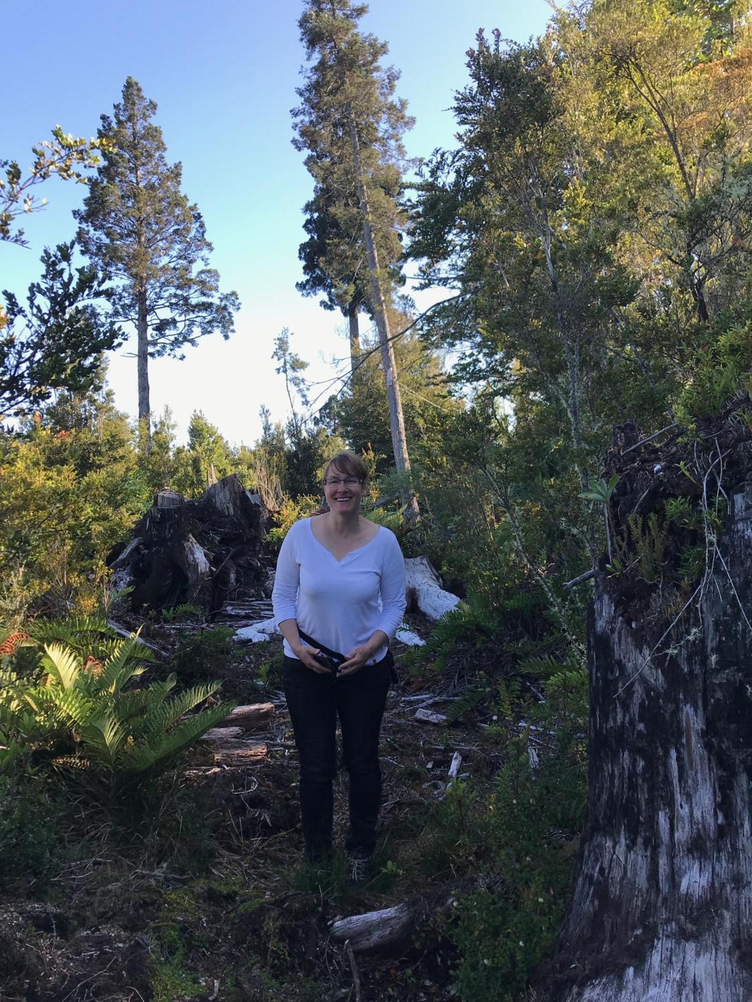 Parque La Pajarera Ξενοδοχείο Puerto Varas Εξωτερικό φωτογραφία