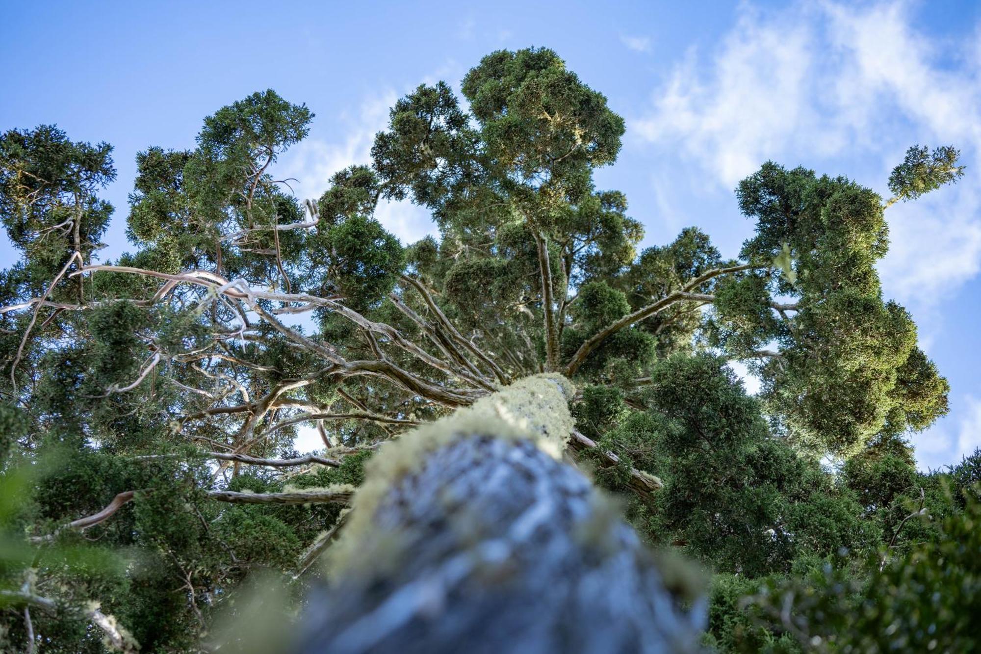 Parque La Pajarera Ξενοδοχείο Puerto Varas Εξωτερικό φωτογραφία