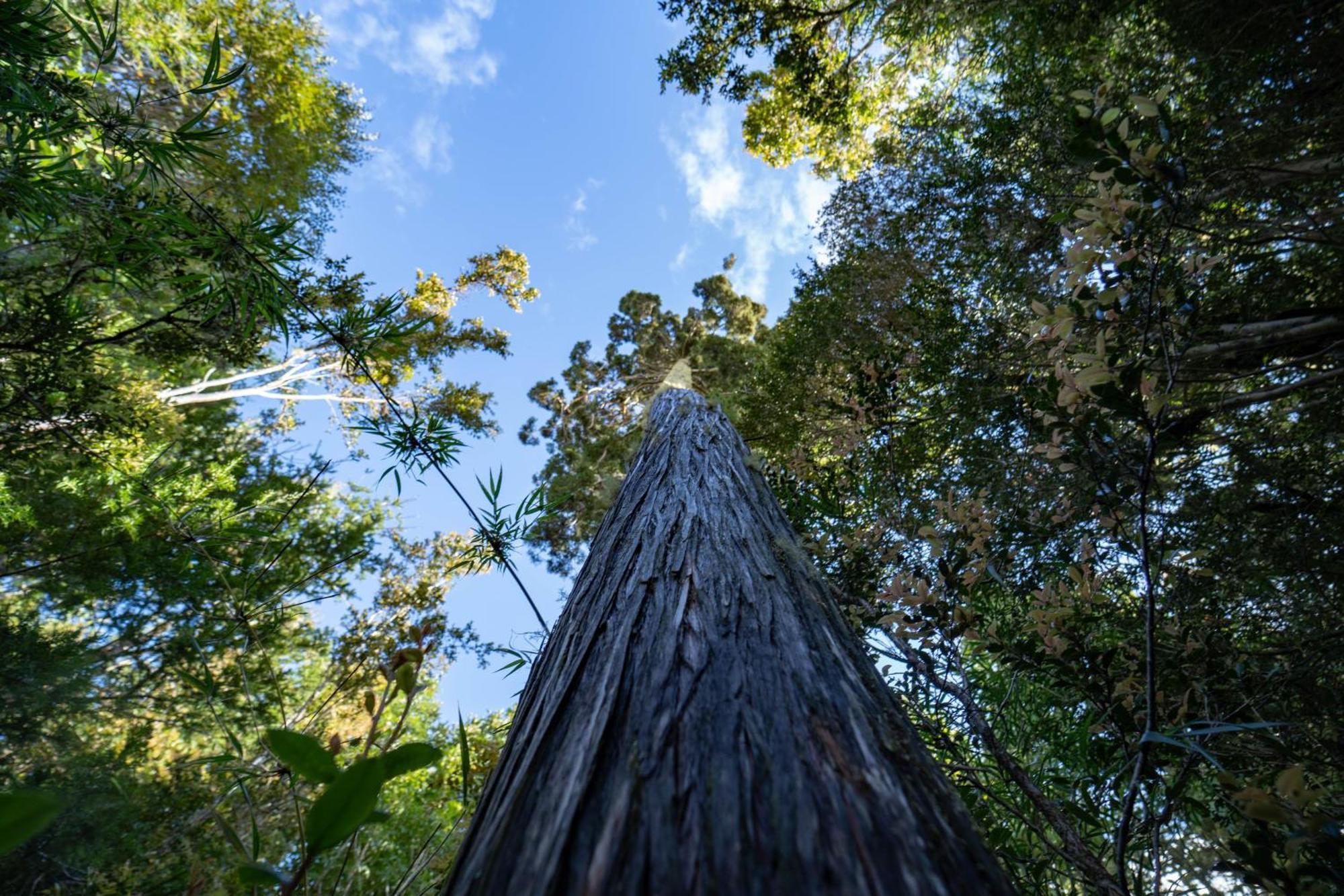 Parque La Pajarera Ξενοδοχείο Puerto Varas Εξωτερικό φωτογραφία